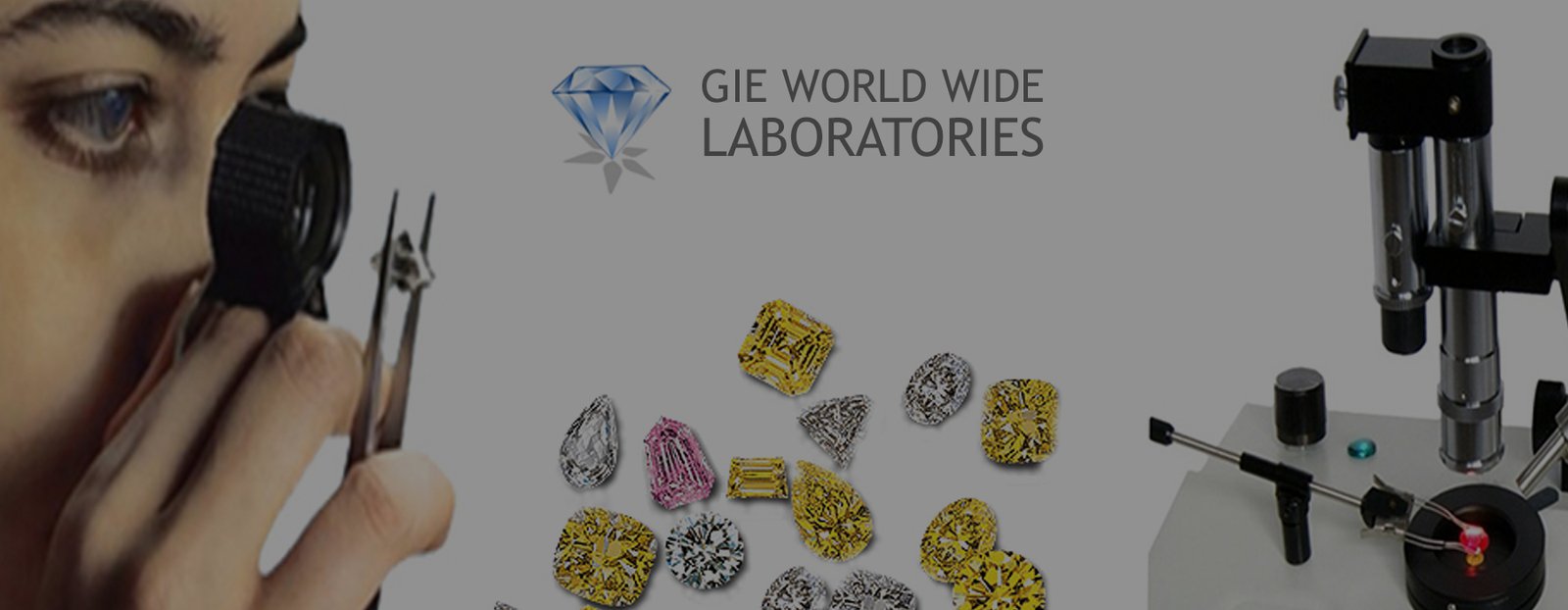 India Gemological Institute of Excellence, Diamond Grading Laboratory